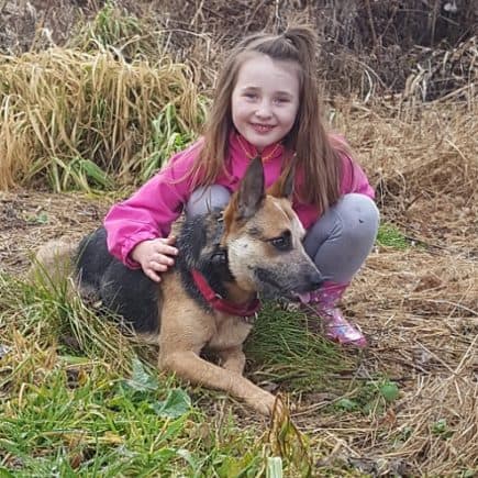 Australian Cattle Dogs good with children