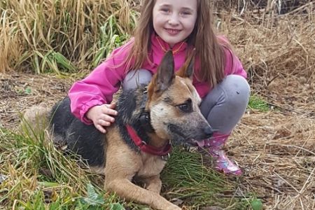 Australian Cattle Dogs good with children