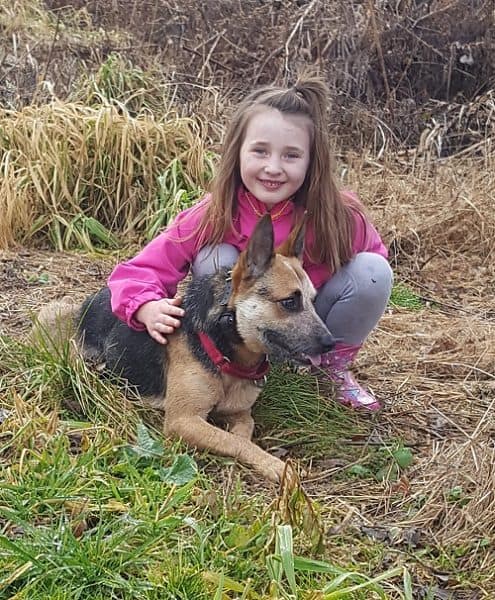 Australian Cattle Dogs good with children